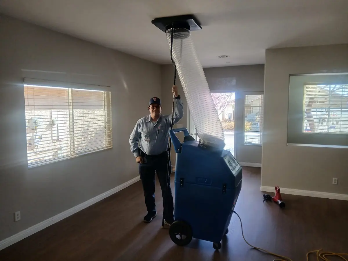 Professional Dryer Vent Cleaning work inside a Walton home